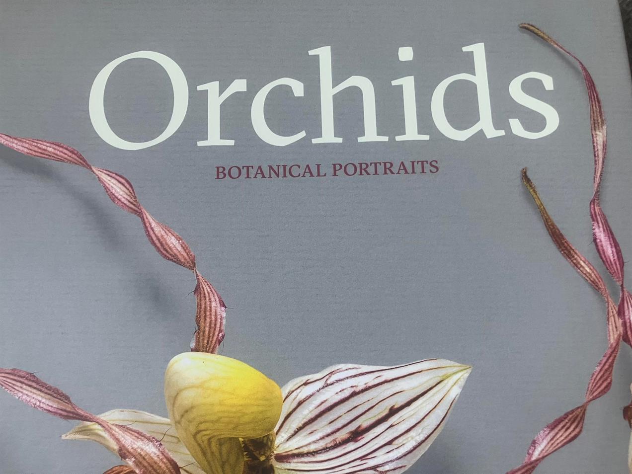 Orchids